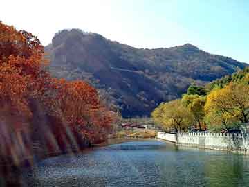 新澳天天开奖资料大全旅游团，牙齿贴片